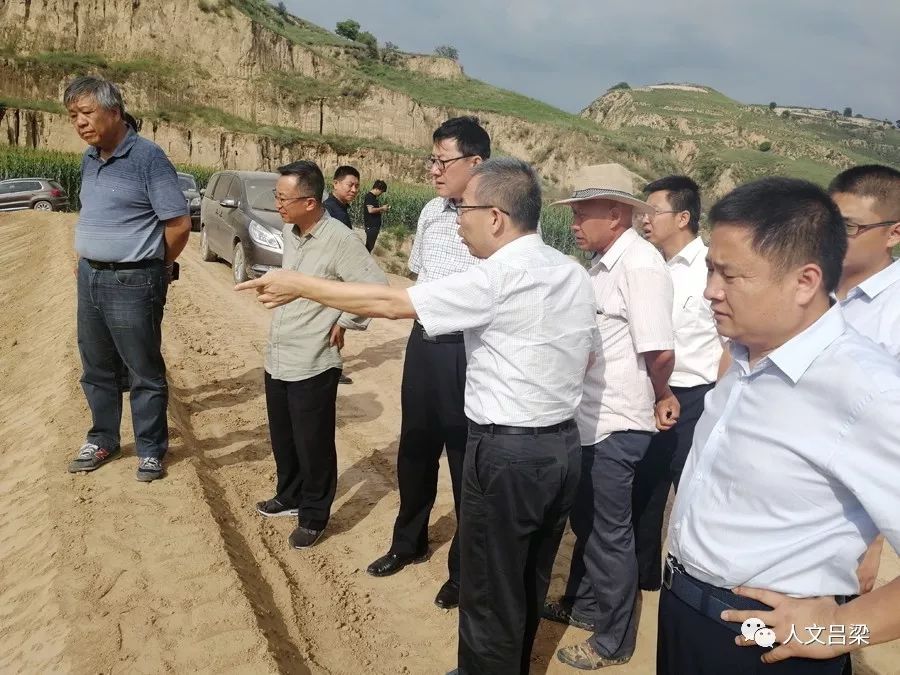 轻质建筑材料销售 第464页