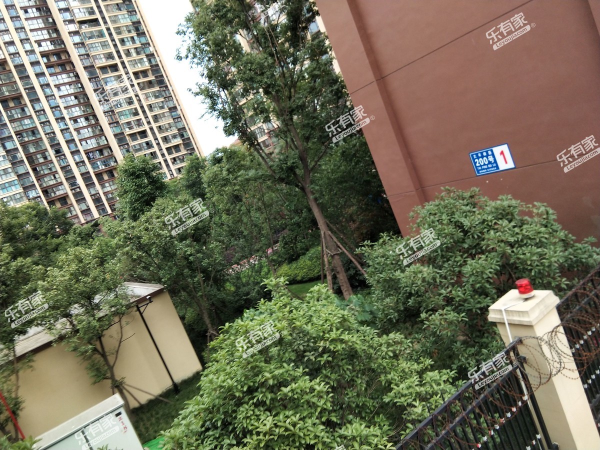 花满庭三期最新动态,花满庭三期最新动态🌸绽放新生活，美好触手可及！