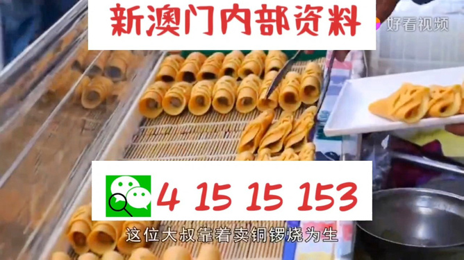 2024新澳门天天开好彩大全,快速解决方式指南_NRJ58.978紧凑版
