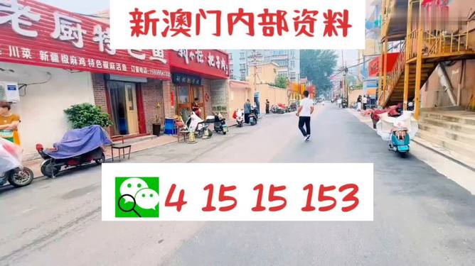 2024年澳门天天开好彩大全,高度协调实施_STI9.572尊享版