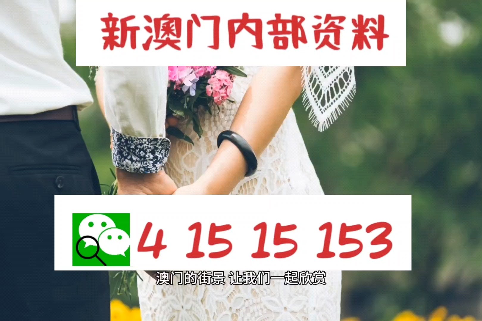 2024港澳图库彩图大全,精细评估方案_PEA83.518快速版