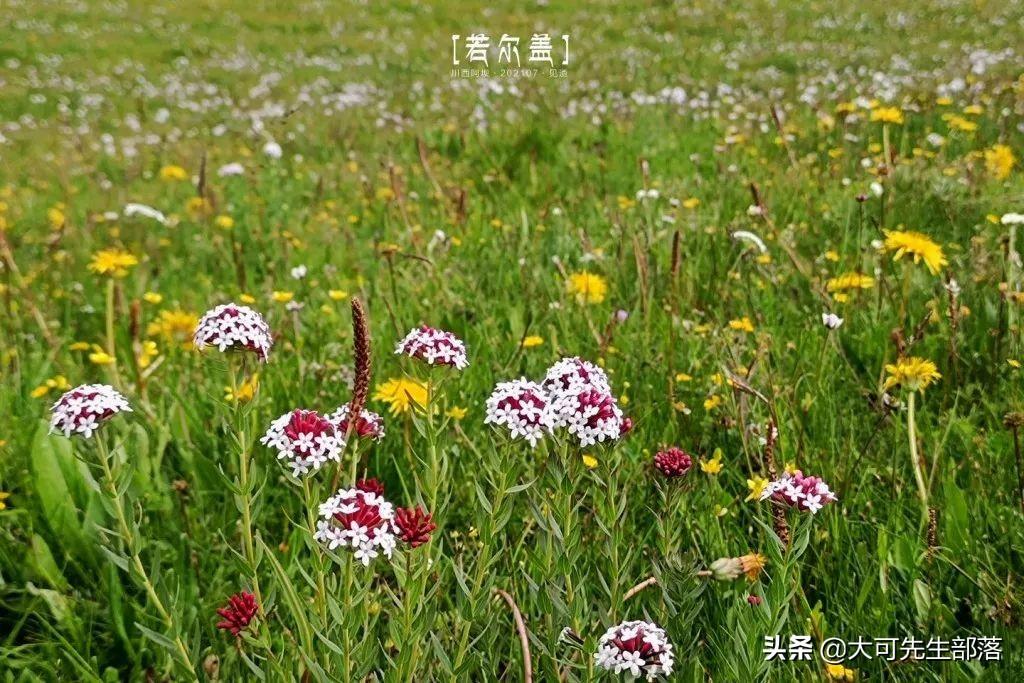时空之旅新篇章探索，穿越之先生的最新章节