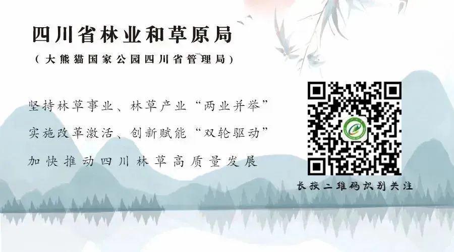2024王中王资料大全公开,全面设计实施_程序版77.178