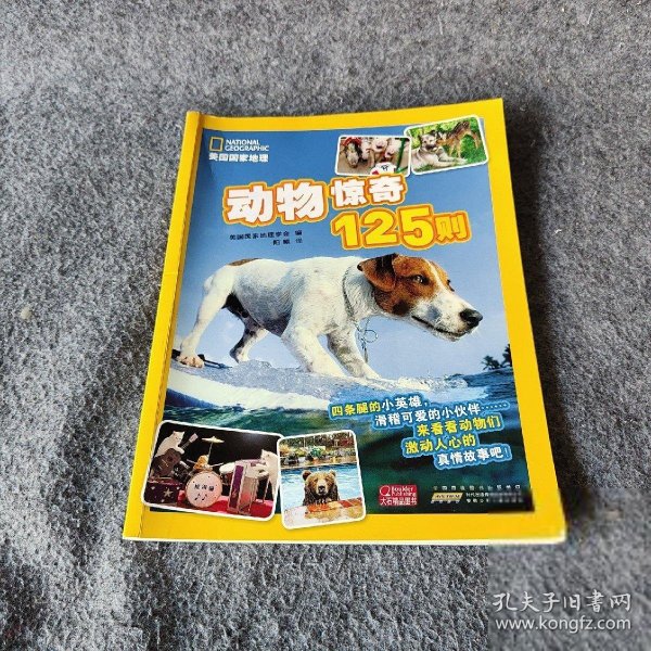 建筑砌块销售 第422页