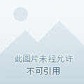 轻质建筑材料销售 第333页