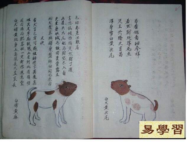轻质建筑材料销售 第310页