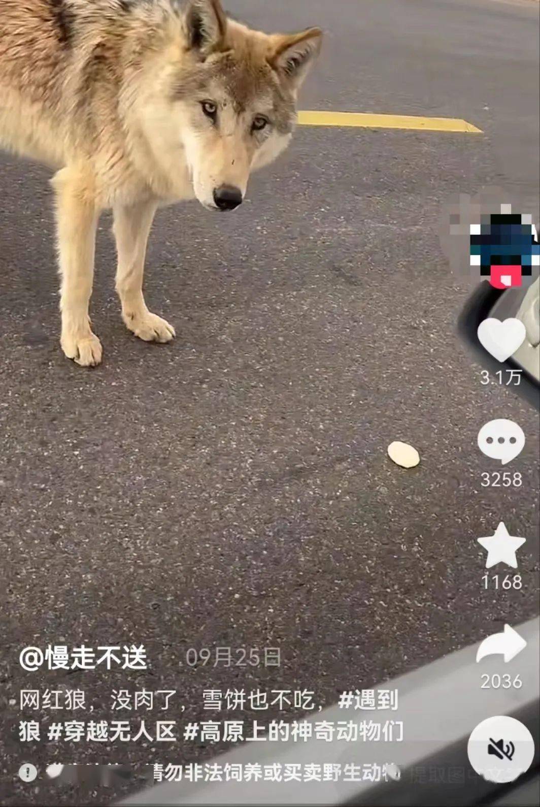 轻质建筑材料销售 第288页