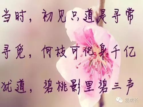 轻质建筑材料制造 第263页