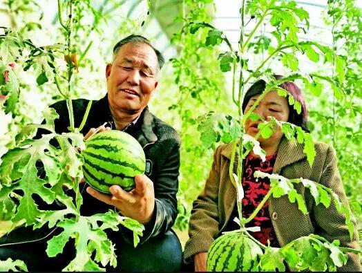 建筑砌块销售 第252页