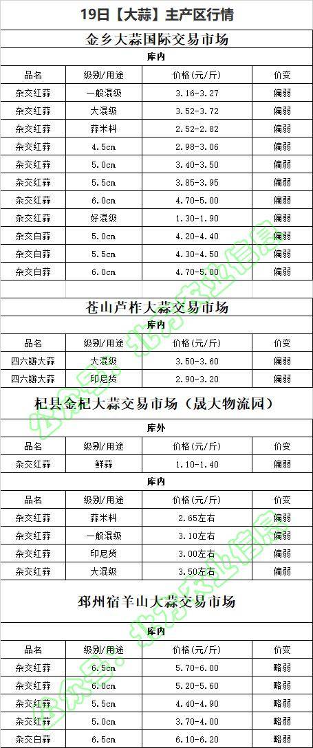 永年大蒜最新行情及奇妙物语，蒜香中的温情与陪伴之旅