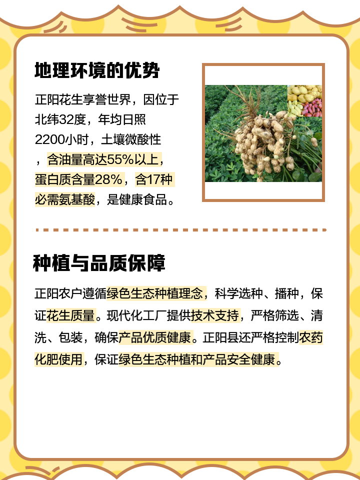 正阳花生米最新售价，一场自然美景之旅，探寻内心宁静的喜悦