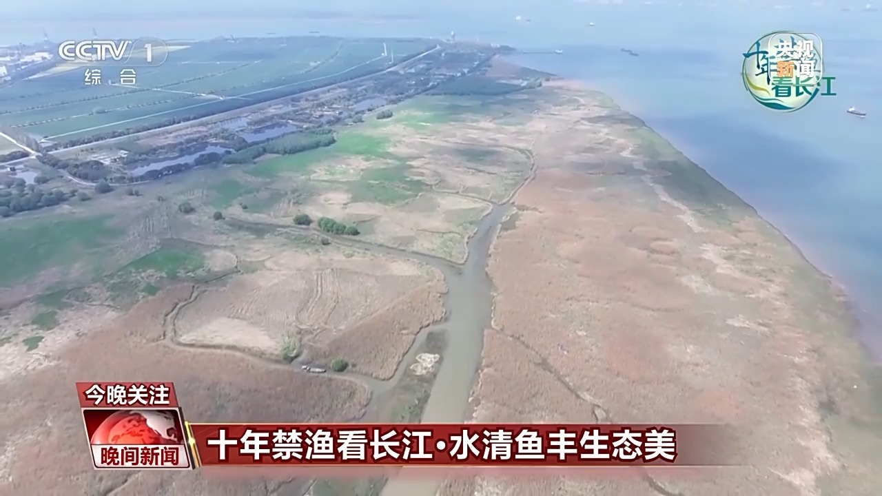长江保护最新步骤指南，全面守护长江生态安全之道