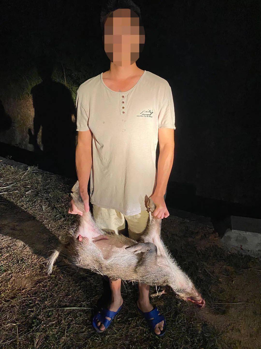 揭秘野猪33现象，背景、重大事件与时代印记的追溯