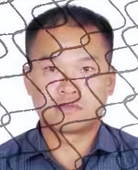 广西最新公告中的暖心日常
