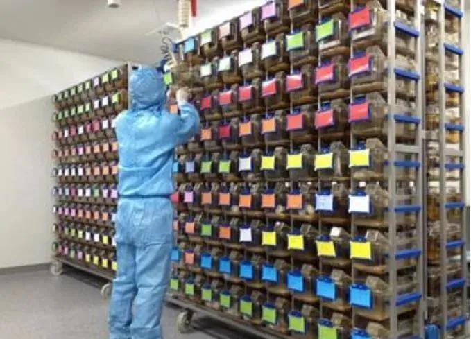 最新测试疫苗，深入理解疫苗研发与测试的重要性
