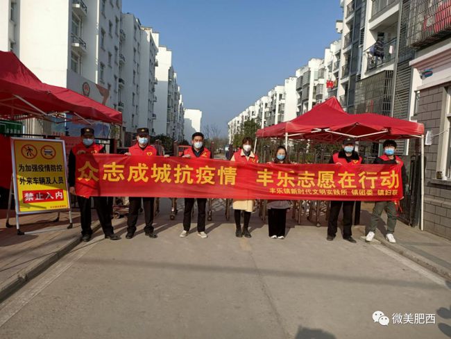 最新疫情肥西，观点阐述与深度解析